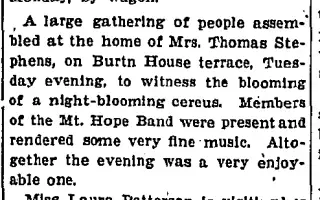 other Newspaper clipping from Sep 2, 1904 5881623