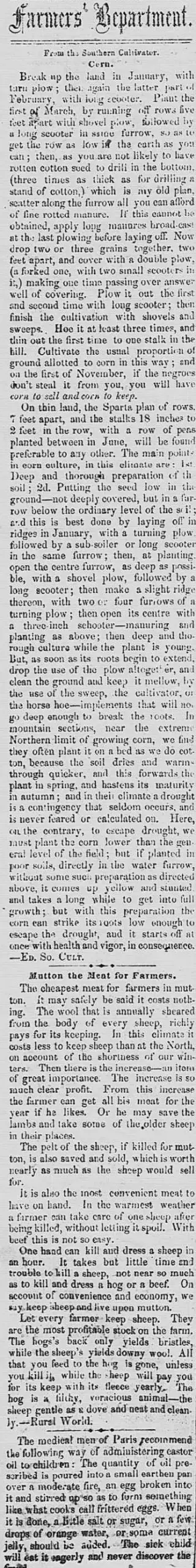 other Newspaper clipping from Jan 31, 1866 5881658
