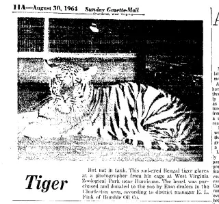 other Newspaper clipping from Aug 30, 1964 5883453