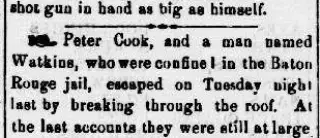 other Newspaper clipping from Apr 24, 1869 5884230