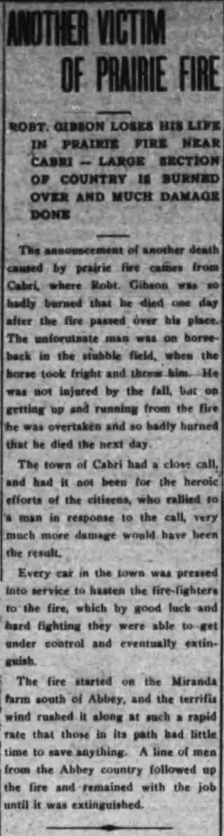 other Newspaper clipping from Nov 9, 1915 5892487