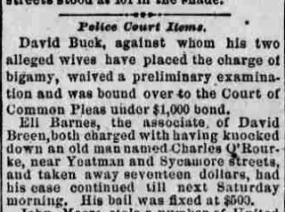 Crime Newspaper clipping from Jul 17, 1875 5896006