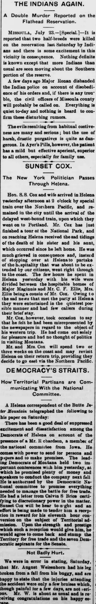 other Newspaper clipping from Jul 25, 1889 5899027