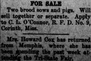 other Newspaper clipping from Oct 7, 1915 5900540