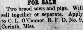 other Newspaper clipping from Oct 21, 1915 5900543