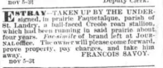 other Newspaper clipping from Nov 12, 1875 5900880