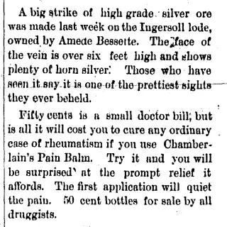 other Newspaper clipping from Jun 2, 1893 5901495