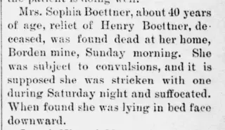 other Newspaper clipping from May 21, 1887 5902024