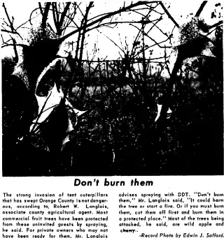 other Newspaper clipping from May 10, 1960 5903570