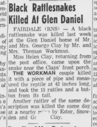 other Newspaper clipping from Aug 28, 1961 5904361