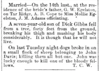 Marriage Newspaper clipping from Jun 24, 1885 5906193