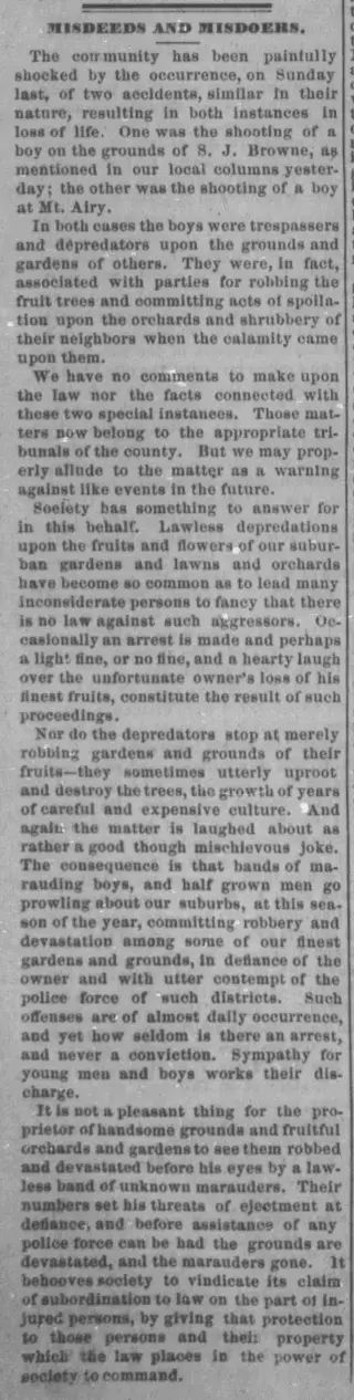 other Newspaper clipping from Jul 9, 1872 5910528