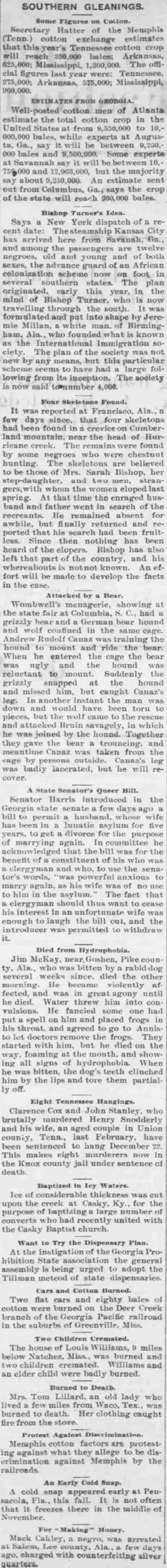 other Newspaper clipping from Nov 23, 1894 5911516