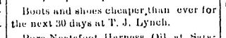 other Newspaper clipping from Apr 16, 1889 5917783