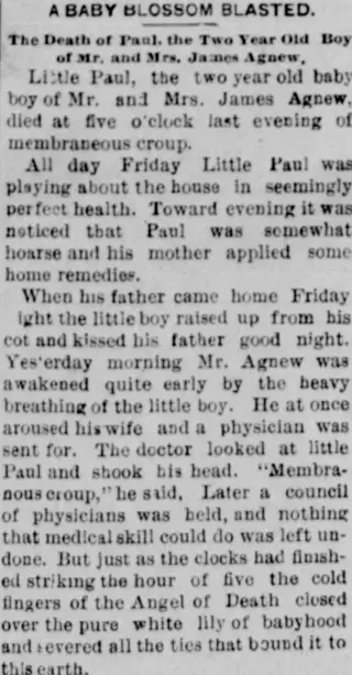 other Newspaper clipping from Nov 8, 1891 5920266