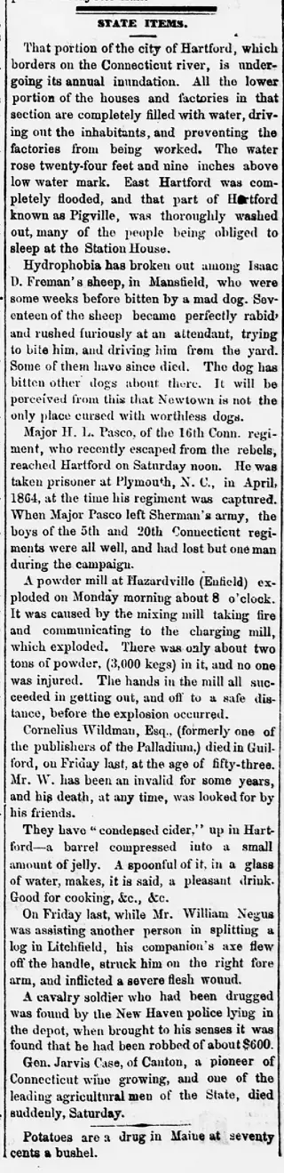 other Newspaper clipping from Mar 21, 1865 5922493
