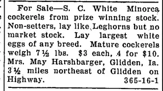 other Newspaper clipping from Oct 14, 1926 5924590