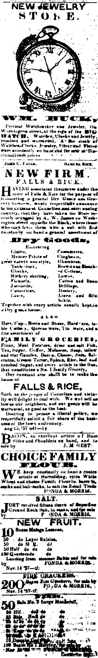 other Newspaper clipping from Nov 28, 1857 5926370