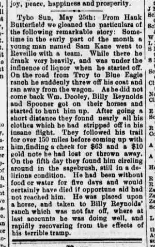 other Newspaper clipping from Jun 1, 1878 5926953