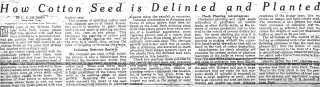 Marriage Newspaper clipping from Feb 11, 1932 5927495