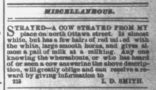 other Newspaper clipping from May 5, 1885 5932424