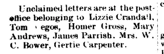 other Newspaper clipping from Dec 31, 1896 5933258