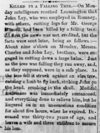 other Newspaper clipping from Apr 8, 1880 5938557