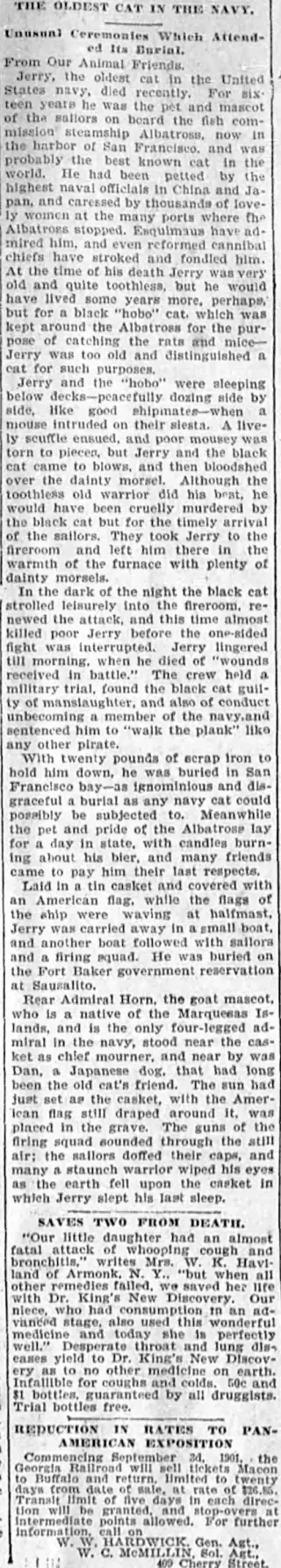 other Newspaper clipping from Sep 8, 1901 5939432