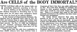 other Newspaper clipping from Sep 2, 1922 5941217