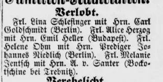 Marriage Newspaper clipping from Nov 15, 1885 5946163