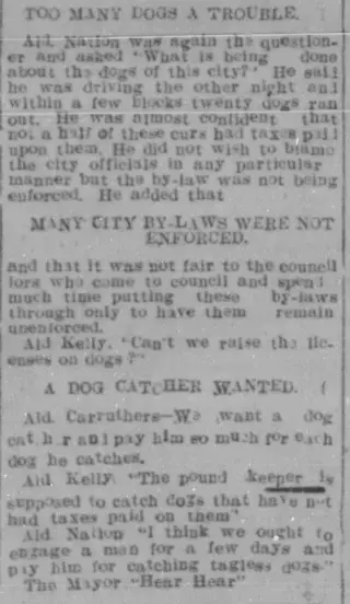 other Newspaper clipping from May 22, 1902 5946302