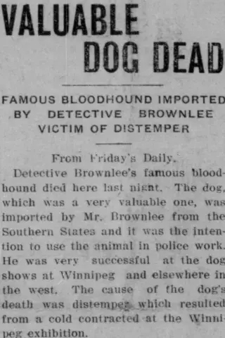 other Newspaper clipping from Aug 17, 1911 5946369