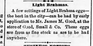 other Newspaper clipping from Mar 4, 1877 5948328