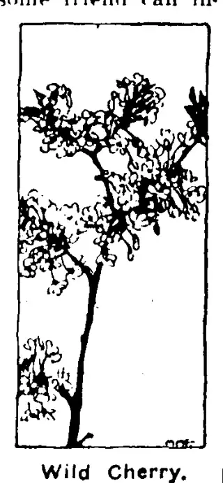 other Newspaper clipping from Feb 29, 1924 5949343