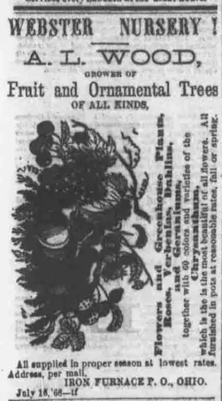 other Newspaper clipping from Jan 14, 1869 5950508