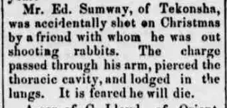other Newspaper clipping from Dec 28, 1876 5951092