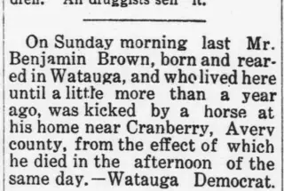 other Newspaper clipping from Jun 29, 1911 5951360