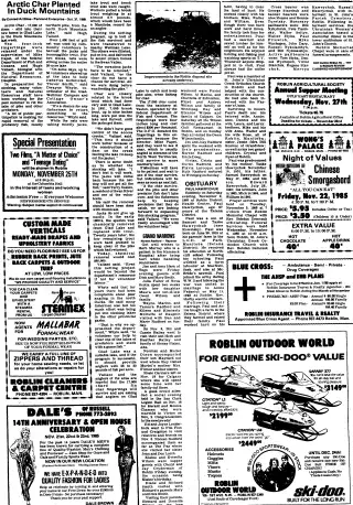 other Newspaper clipping from Nov 20, 1985 5954008