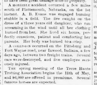 other Newspaper clipping from May 15, 1875 5958526