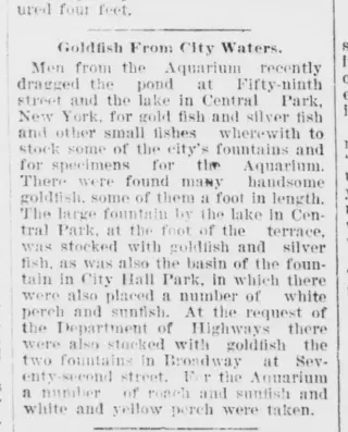 other Newspaper clipping from Jul 21, 1899 5959173
