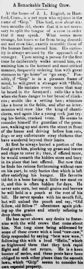 other Newspaper clipping from Nov 22, 1883 5962723