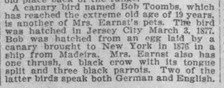 other Newspaper clipping from Apr 26, 1896 5962741