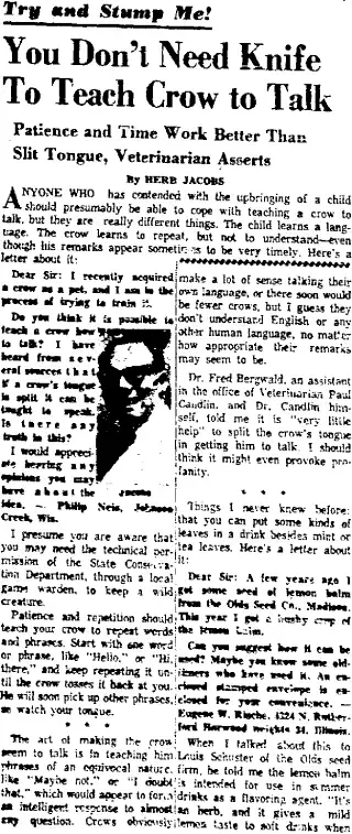 other Newspaper clipping from Jul 17, 1962 5962754