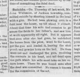 other Newspaper clipping from Jul 11, 1873 5963819