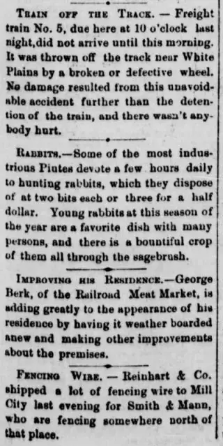 other Newspaper clipping from Aug 3, 1875 5965579