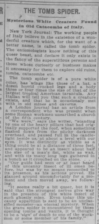 other Newspaper clipping from Nov 28, 1896 5965848