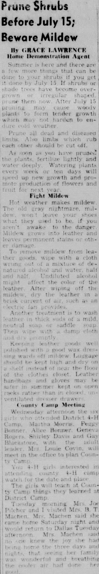 other Newspaper clipping from Jul 8, 1954 5969825