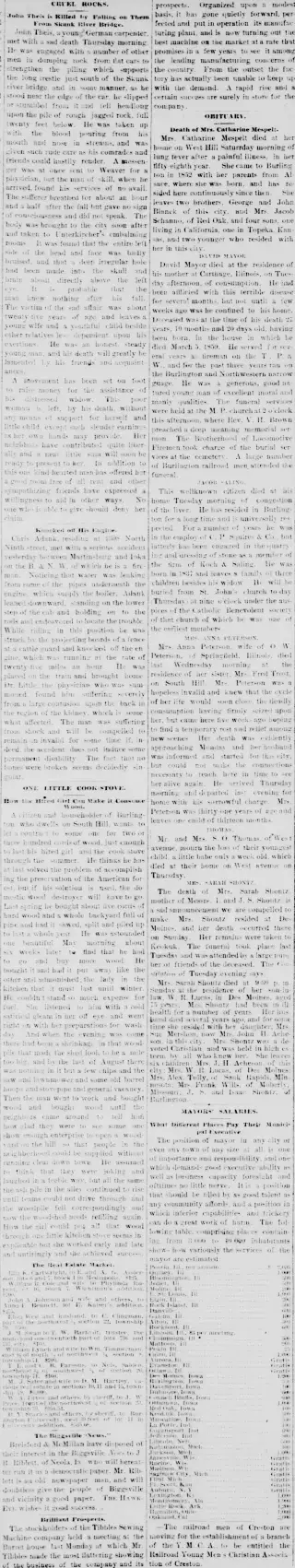 other Newspaper clipping from Feb 3, 1887 5971329