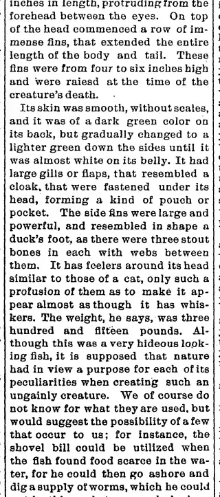 other Newspaper clipping from Jul 25, 1889 5972138