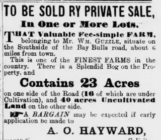 other Newspaper clipping from May 10, 1884 5972145